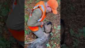 Delicate rescue mission to cut free distressed deer tangled in rope