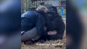 Gorilla shares moment with man she's known since birth