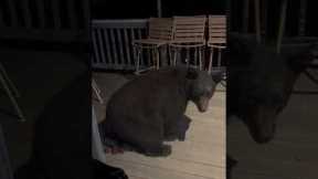 Black bear breaks couple's bird feeder before pooping on their balcony