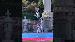 Golden Retriever Joins Taekwondo Demonstration
