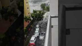 Cars Swept Away in Chennai's Flash Floods