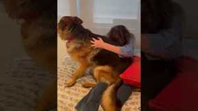 Dog Reunites With One Of His Favorite People