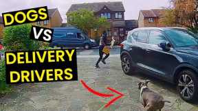 TOP 23 - Dogs VS Delivery Drivers | BEWARE Of The Dog!