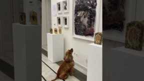 Curious dog explores Lebanon museum and appreciates the various artwork