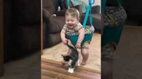Adorable Baby Encounters The Cutest Calico Kitten