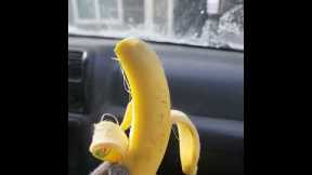 Steam flows out of banana due to extreme cold