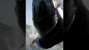 Windsurfer collides with breaching humpback whale