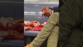 Man eats a whole lobster during subway commute