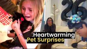 Heartwarming Pet Surprises