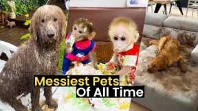 Messiest Pets of All Time