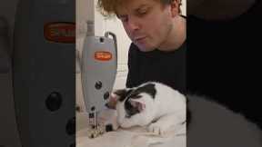 Cat Trains to Be a Seamstress