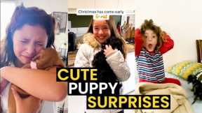 New Puppy Surprise Compilation | Heartwarming Surprise Moments