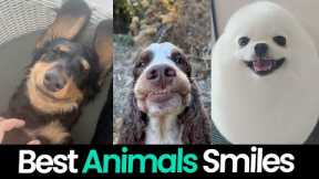Smiling Animals: The Happiest Pets