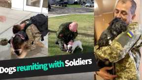 Dogs Reunited with Soldiers Home