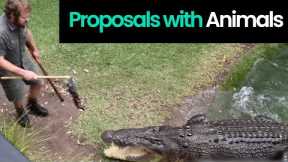 Unexpected Engagement Proposals Featuring Animals