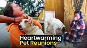 Heartwarming Pet Reunions