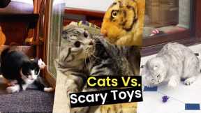 Cats Vs. Scary Toys