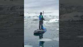 Once in a lifetime memory! Woman spots whales nearby while paddleboarding in Antartica