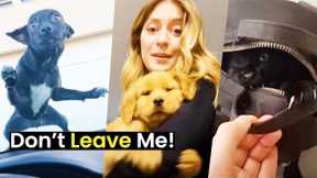 Don't Leave Me! | Pets Won't Let Their Owners Leave