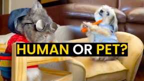 Human Or Pet?