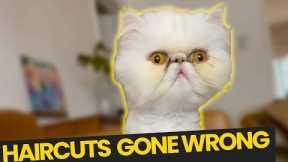 Pet Haircuts GONE WRONG!