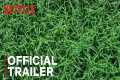 In the Tall Grass | Official Trailer