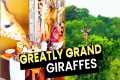 The Greatest Grand Giraffes!