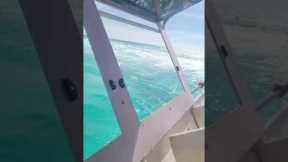 Passengers Panic As Bahamas Ferry Sinks
