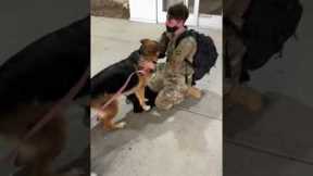 Soldier Meeting Her Dog After 6 Months