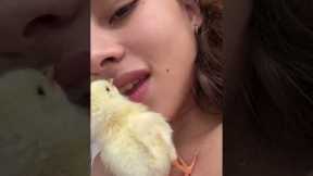 Chick Climbs Into Her Mouth