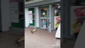 Girl Terrified And Robbed By Duck