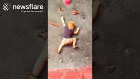 Toddler Is Rock Climbing Pro At 19 Months Old