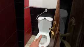 Would You Use This Awkward Toilet?