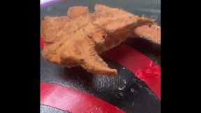 Bizarre Moth Larva OR Fried Chicken?