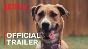 Inside the Mind of a Dog | Official Trailer | Netflix