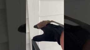 Girl Rescues Bat From Stairwell