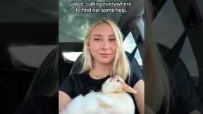 Girl Saves Abandoned Duck