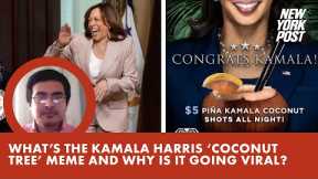 What’s the Kamala Harris ‘coconut tree’ meme and why is it going viral?