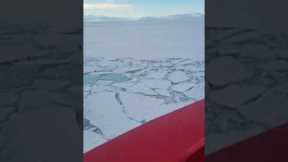 Frantic Penguins Run From Ice Breaker Ship