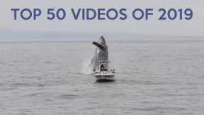 Top 50 Best Viral Videos of 2019