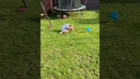 Funny Girl Playing With Dog FAIL