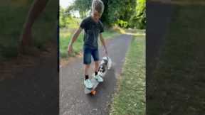 Spaniel Pushes Boy on Skateboard