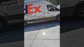 Dog Makes FedEx Driver Dive Through Window