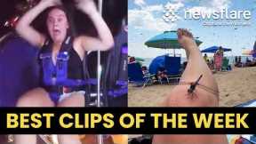 Crazy Swarm Of Insects At Beach - Best Clips Of The Week #10