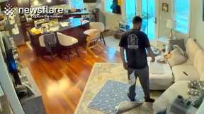 Man Can't Find Missing Diaper || Newsflare