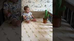 Toddler Meets Cactus Toy