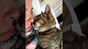 Affectionate Cat Lays On Her And Rubs Nose