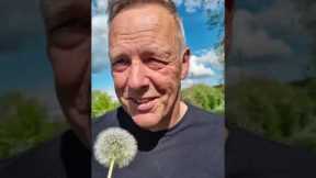 Pranking My Dad With A Dandelion