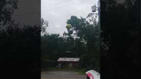 Balloon Takes Out Powerline Transformer