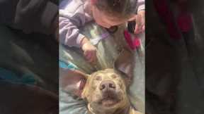 Young Girl Pampers Her Puppy